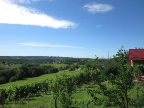 The house with 3 bedrooms and a large terrace with a view of the wine hills - Image 4