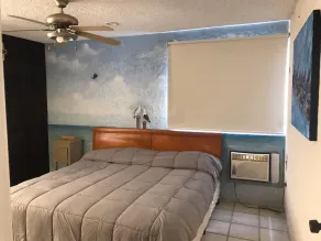 Penthouse en bord de mer sur Chicxulub / Progreso - Image 4