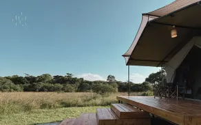 Lion's Cradle - Image 3