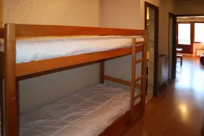 66 Orriandes des Forets - Image 3