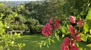 Ruen Roylanna Resort - Image 3