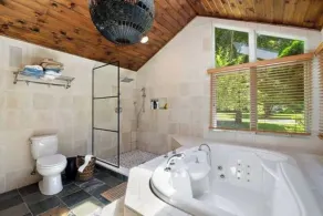 Union Pier MI - 6BR privat pool, New Rehab, mange faciliteter - Image 3