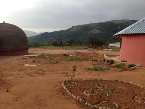 Swazi Dreams. (Nqabaneni Eco-Volunteering.) - Image 4
