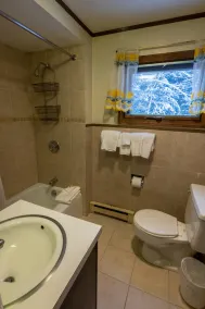 Spacious Chalet, Skiing 5 Minutes to Jay Peak, Vermont! - Image 4