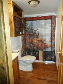 Post and beam cabin with king  and bunk - Image 2
