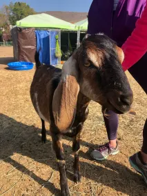 Die Cowboy-Hütte auf der Paria River Ranch - Image 4