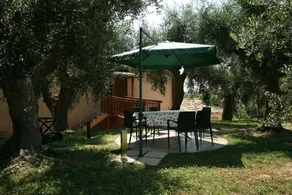 Agriturismo Monte Giove - La maison des oliviers - Image 5