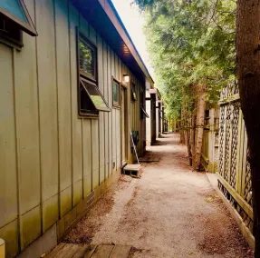 Black Horse Motor Inn - Image 3