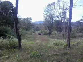 The home stay in nature's castle - Image 3