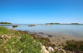 3 værelses dejlig bolig i Samsø - Image 4
