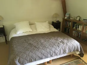Stort stråtækt sommerhus med pool - Image 5