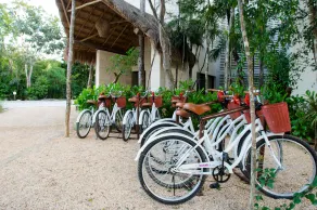 This fabulous accommodation will provide you with a relaxing atmosphere . - Image 4