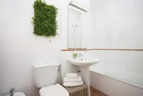 Botanico 102 - Image 2
