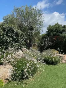 CASA ALTI - ARCHITECT'S HOUSE - PORTO VECCHIO - Image 3