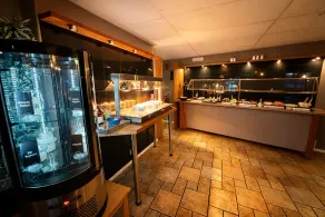 Siesta Rooms - Image 3