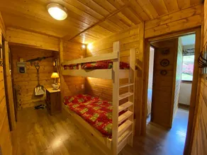 Alpine ski apartment - Petit Chatel - Image 3