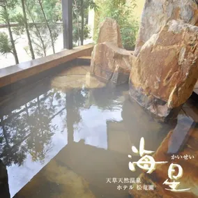 Hotel Shouryuen Kaisei - Image 5