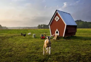 Private Guesthouse on Secluded Waterfront Farm - Image 3