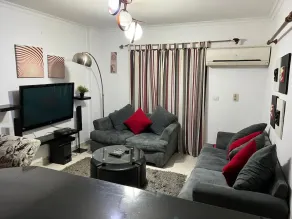 Modern rehab city apartment - Image 4