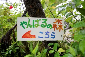 Yambarunomori - Image 4