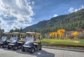 Durango Dream | AC, Pool, Hot Tub, Golf & Ski - Image 5