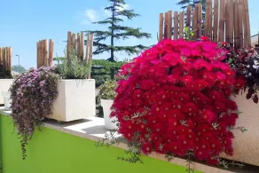 Double/twin room with private bathroom near Pescara airport - Image 4