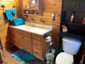 Beautiful Log Cabin 11ac. 4 br. 2.5 ba. on snowmobile trails in Manistee forest. - Image 3