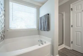 Six Flags Vacation Home - Image 3