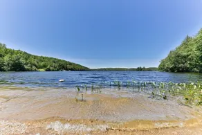The Starry beach, lake front cottage - Image 5