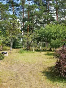 Sommerhus Småland<br>Adresse: Movägen 9<br>           Fugle 57075<br> - Image 2