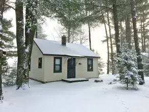 Lakefront Cabin #2 The Bluegill - Image 4