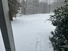 Nature, NH at its best. - Image 1