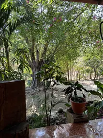 Quinta mi Tata B&B - Image 5