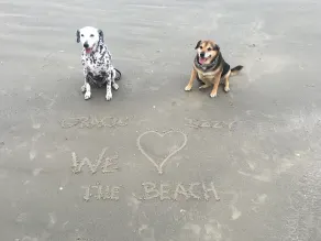 Nur wenige Schritte vom Strand entfernt und tierfreundlich!  Beobachten Sie die Wellen vom großen Deck! - Image 4