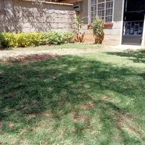 Lovely 2 bedroom house with a front & back yard and in the heart of Nanyuki Town - Image 5