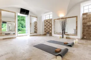 Château with Spa, Golf, Tennis, Basket, swimming pools, gardens.  - Image 4