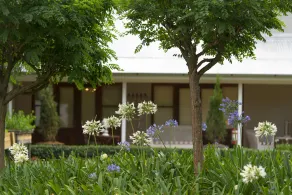 Thistle Hill Guest House - Image 5