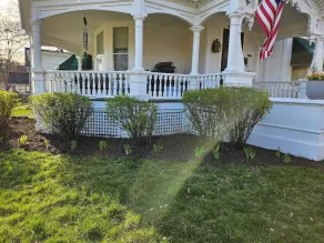 Maon House Bed and Breakfast - Image 5
