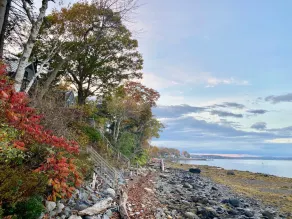 WATERFRONT Maine Historical Cottage with Separate Guest Cottage - Image 2
