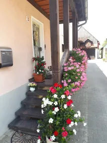Living like home😃 - Image 2