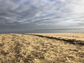 Maison de vacances entre plage et dunes dans site naturel préservé. - Image 5