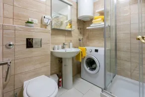 House Igor - Image 4
