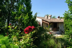 Pettirosso apartment in the Marche in La Maestade property - Image 5