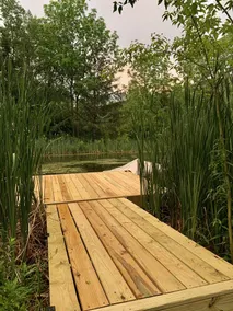 The Pond Getaway - Image 4