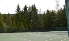 Walking Distance To Ski Lifts And Trails. Free Netflix, IPTV, Crave, Amazon PM - Image 3