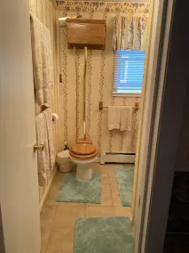 Otsego Lake Cottage Getaway  - Image 2