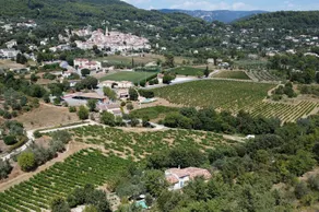 La Bastide des Oliviers.charming villa in a peaceful setting with swimming pool - Image 5