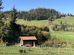 Ruhige und zentrale gelegene gemütliche Wohnung mit KönigsCard - Image 5