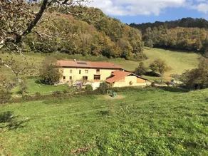 Dauphinoise adobe farmhouse in the heart of a Vercors horse stud farm - Image 4