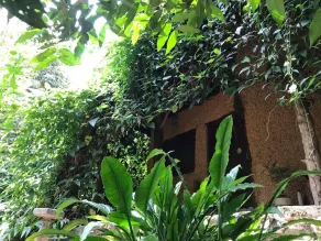 Eco friendly private villa (Earth House Sri Lanka) - Image 2